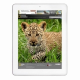 昂达 V801s四核版 8.0英寸平板电脑（A31s四核八显...