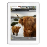 昂达 V811四核版 8.0英寸平板电脑（A31四核八显 1...